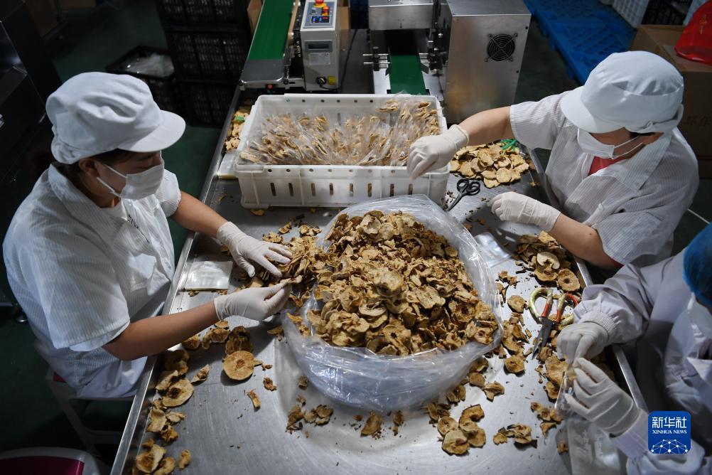 云顶集团4118.com